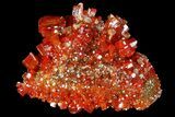 Vibrant Red Vanadinite Crystals - Arizona #69212-1